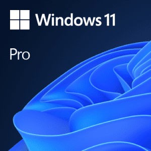 MICROSOFT WINDOWS 11 PRO 64BIT DSP