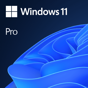 MICROSOFT WINDOWS 11 PRO 64BIT DSP