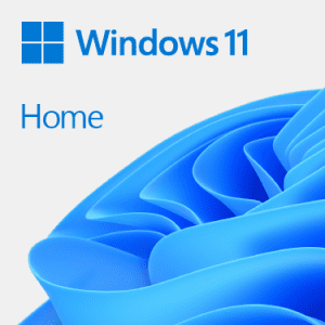 MICROSOFT WINDOWS 11 HOME 64BIT DSP