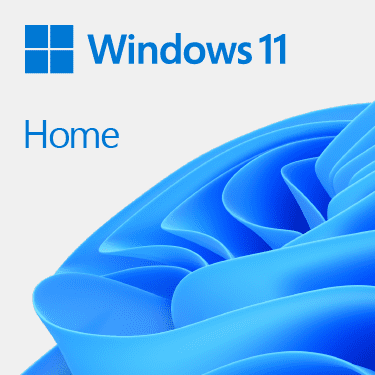 MICROSOFT WINDOWS 11 HOME 64BIT DSP