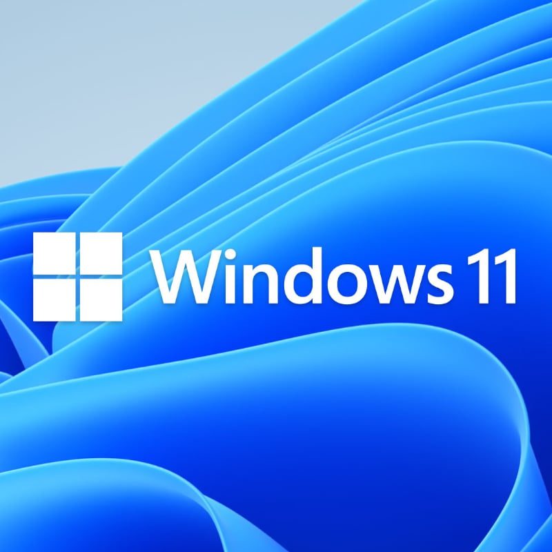 MICROSOFT WINDOWS 11 HOME 64BIT DSP - Image 3